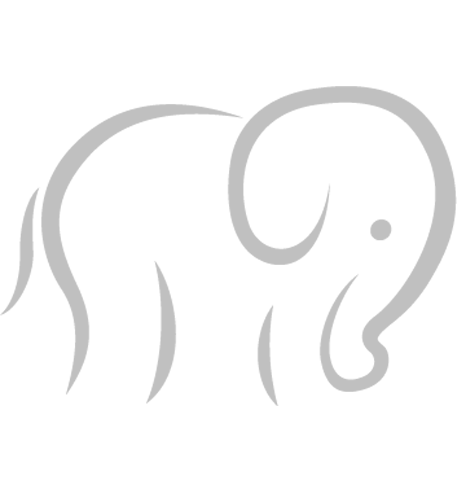 Filodyo Logo